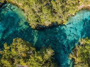 Blick auf den Wildpark Three Sisters Springs in Crystal River, Florida