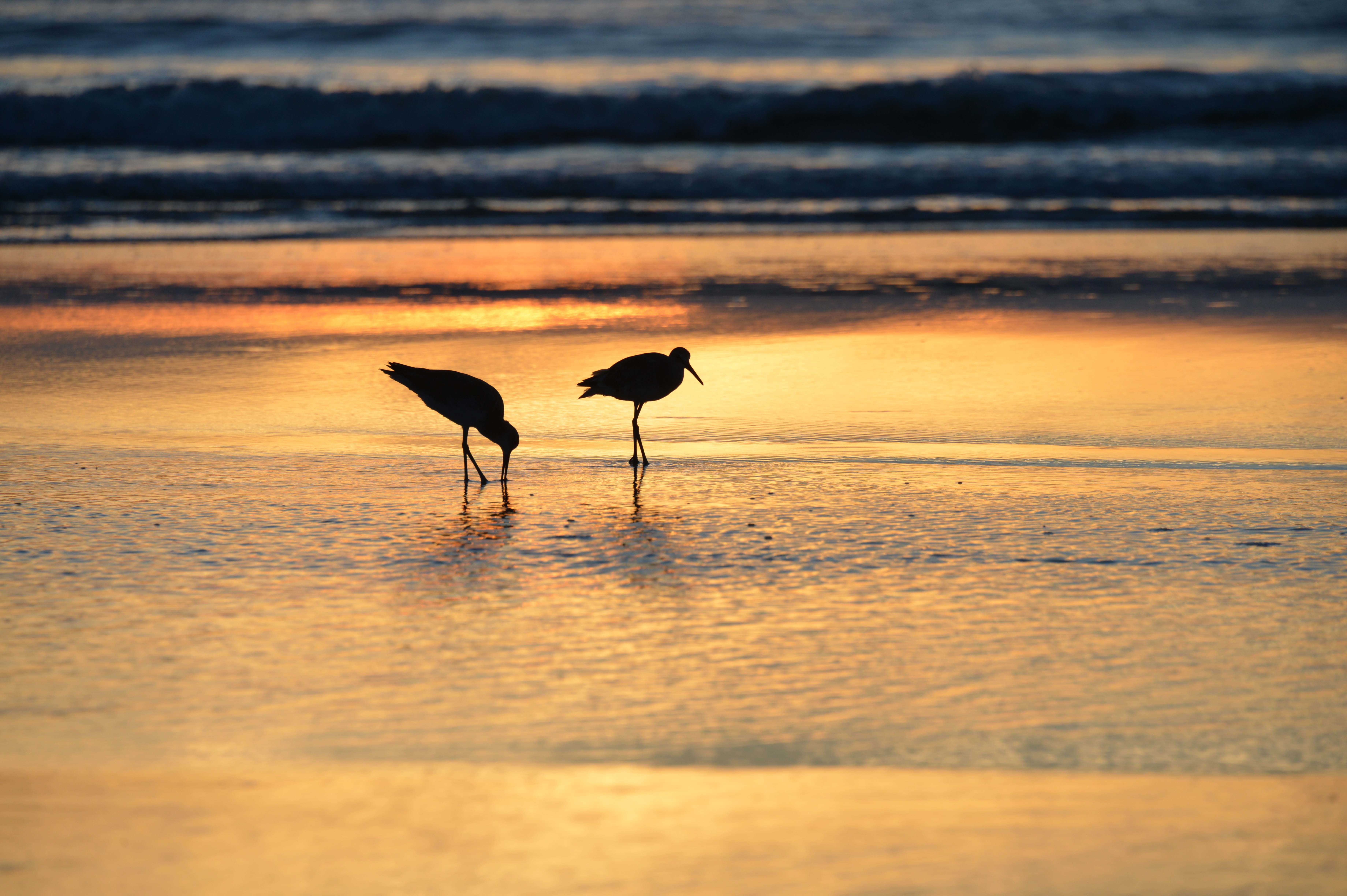 Sonnenuntergang am Daytona Beach