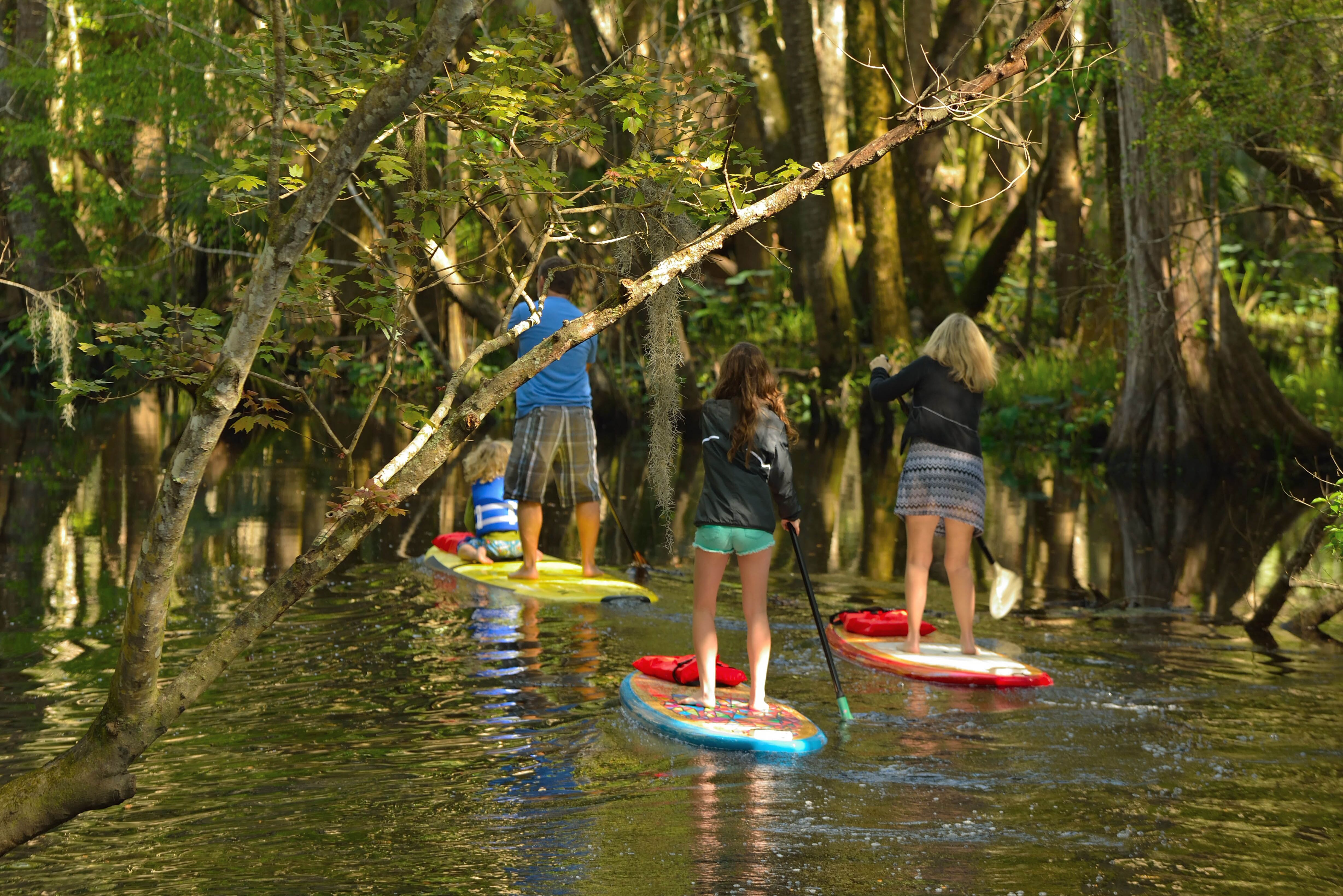 Stand Up Paddling in Daytona Beach