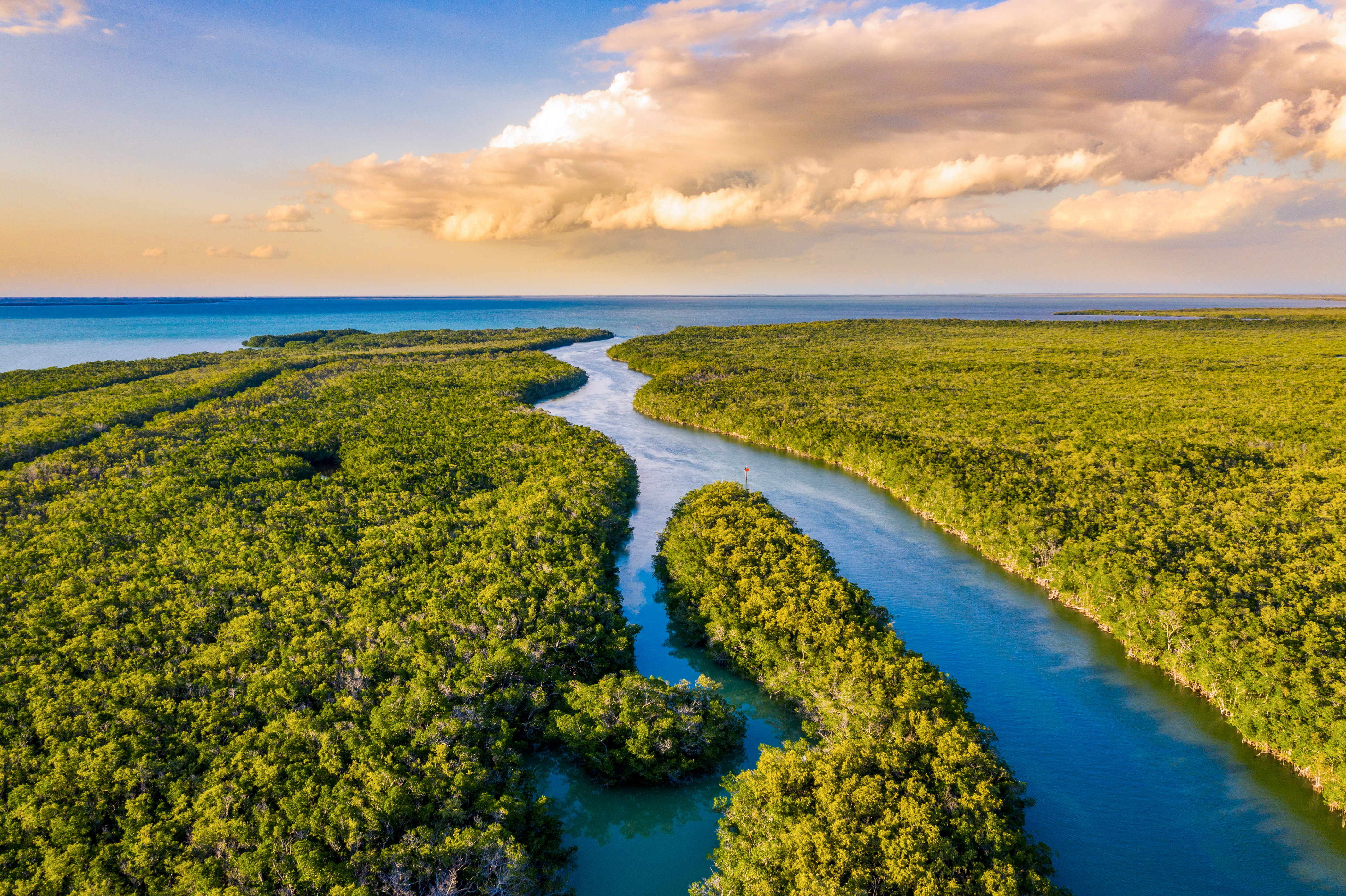 Die Sümpfe im Everglades National Park leuchten in der untergehenden Sonne