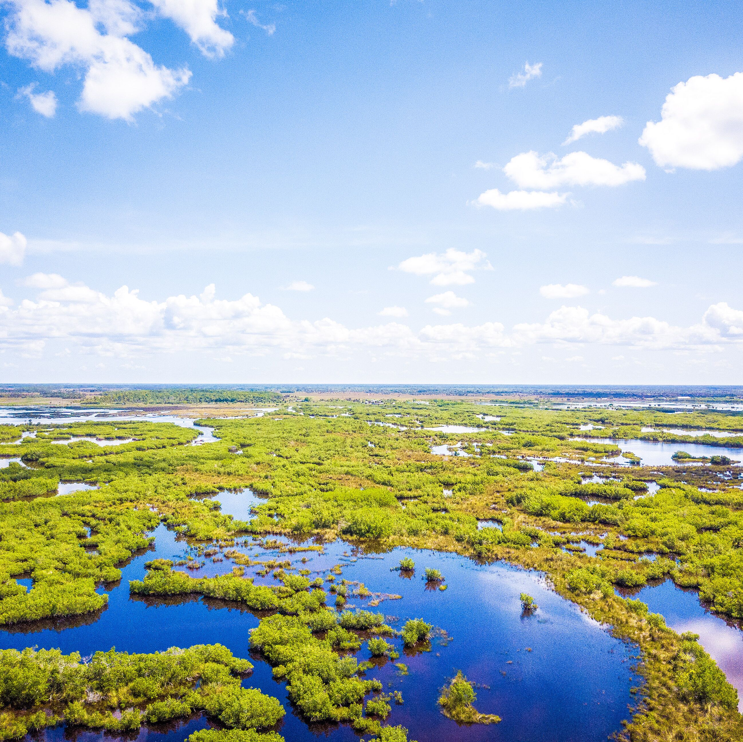 Die endlosen Weiten der Everglades