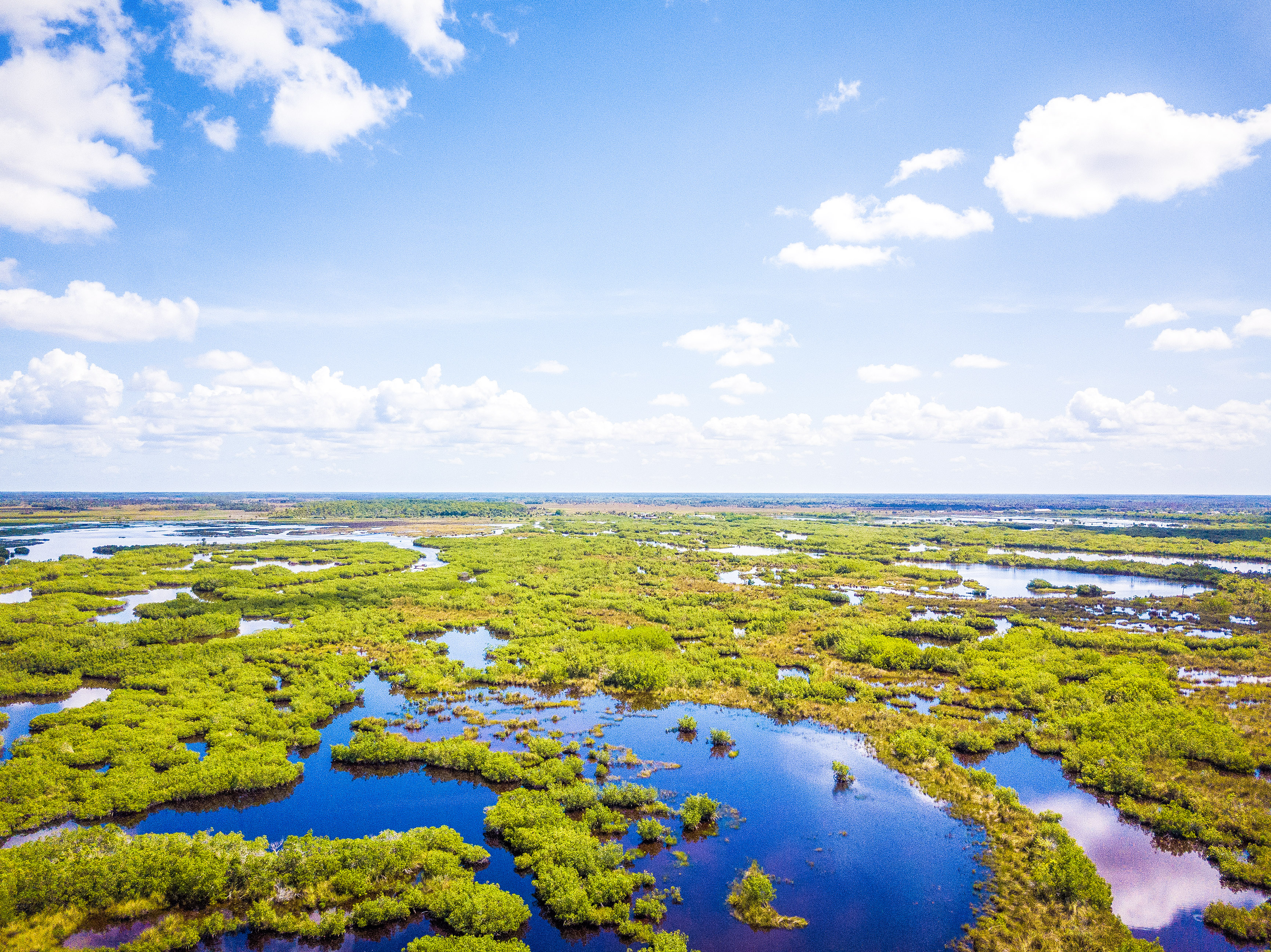 Die endlosen Weiten der Everglades