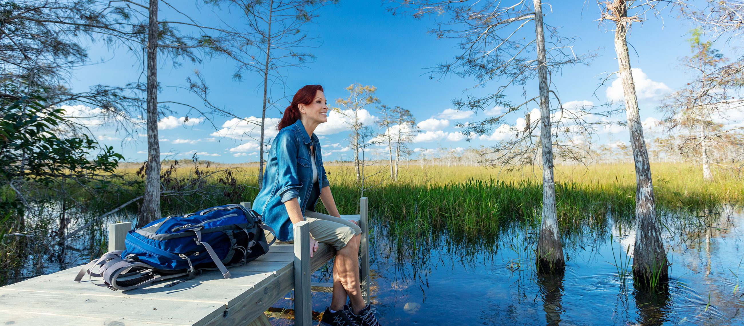 Die faszinierenden Everglades in Florida bei einer Wanderung entdecken