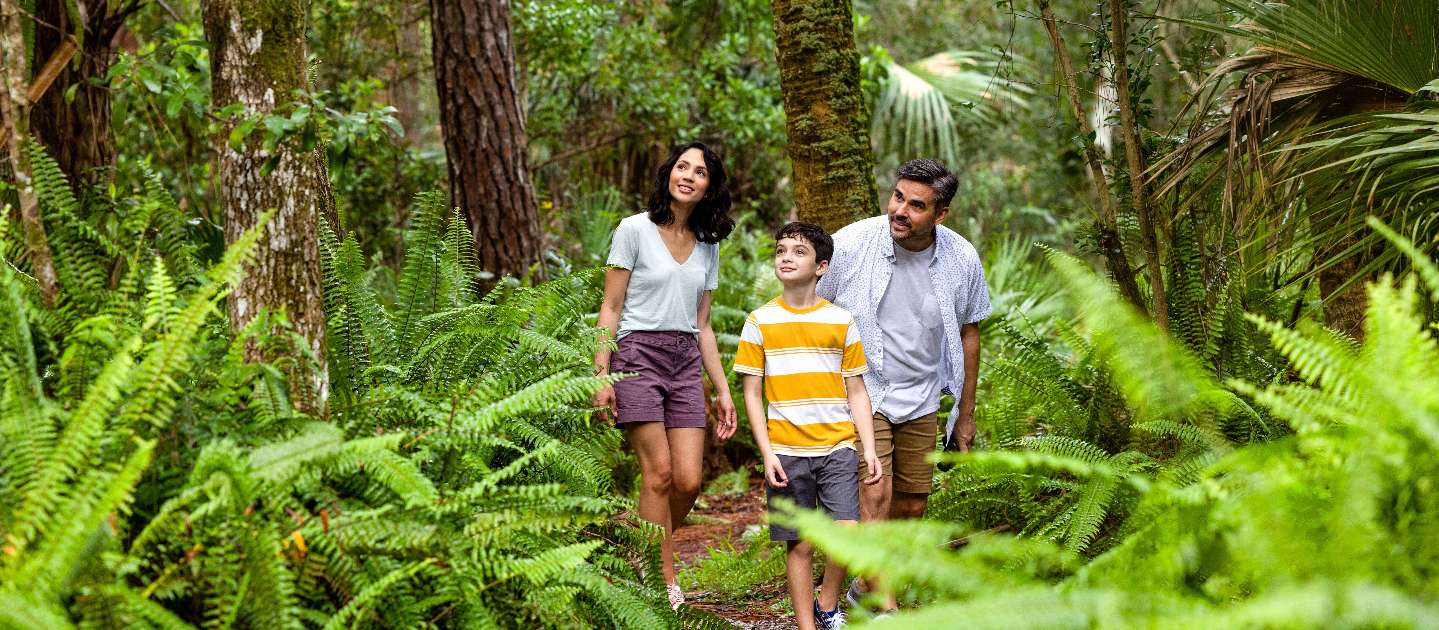 Unterwegs im satten Grün des Caloosahatchee Regional Park