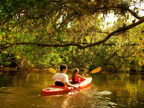 Mit dem Kajak durch den Koreshan State Park in Fort Myers