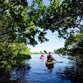 Kayak fahren bei Fort Myers