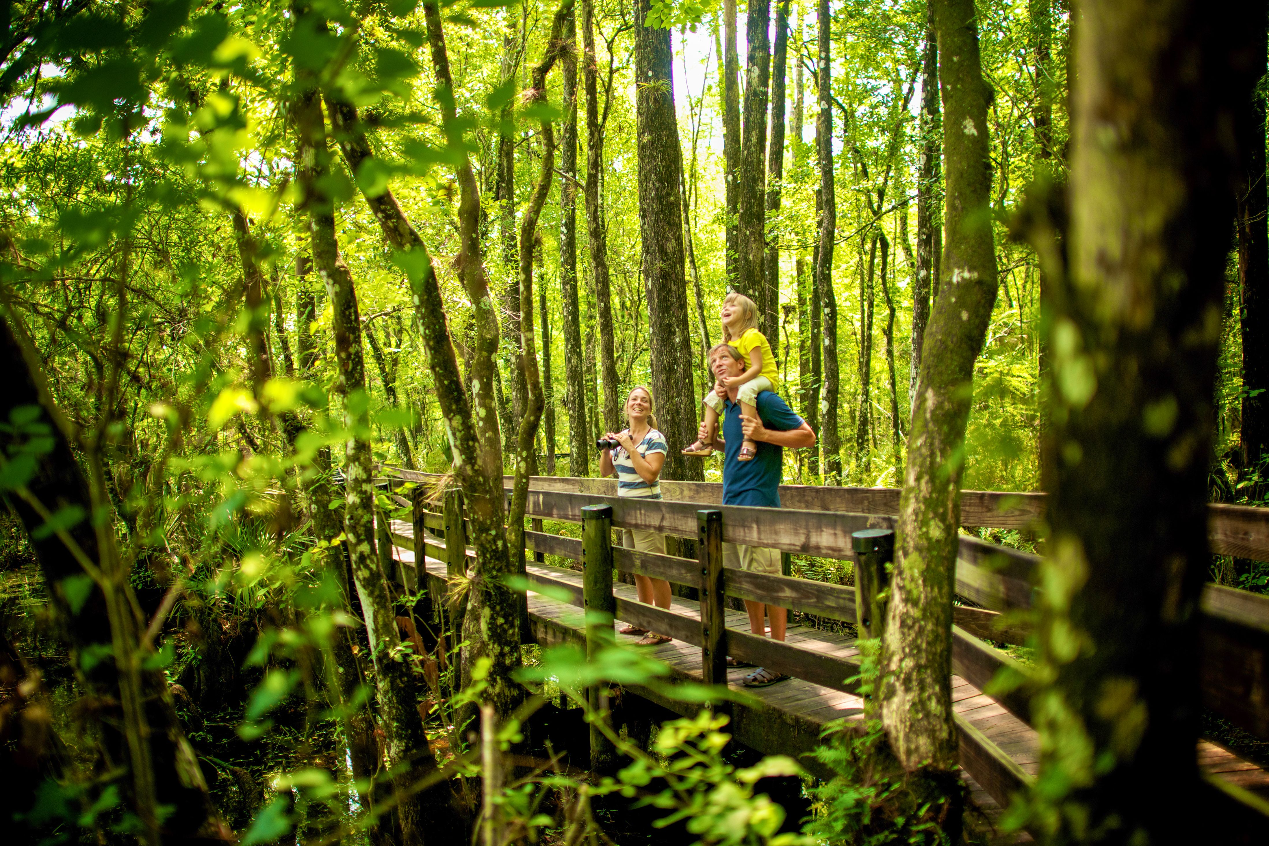 Spaziergang im Koreshan State Park nahe Fort Myers