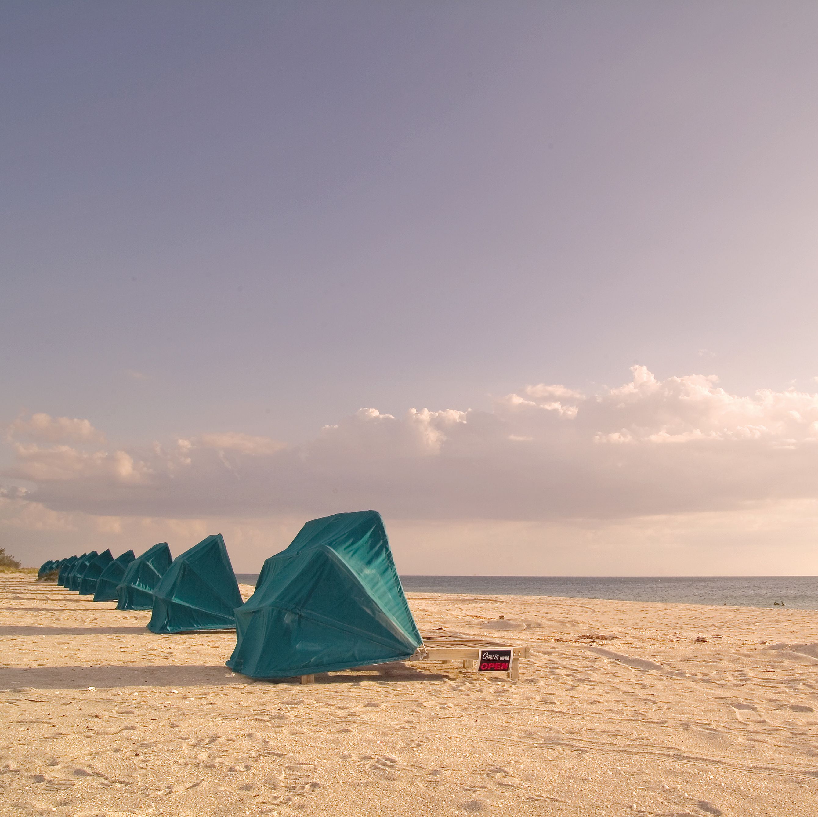 Strandmuscheln am Wasser, Fort Myers, Sanibel