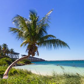 Landschaft am Bahia Honda Beach, Florida Keys, Florida