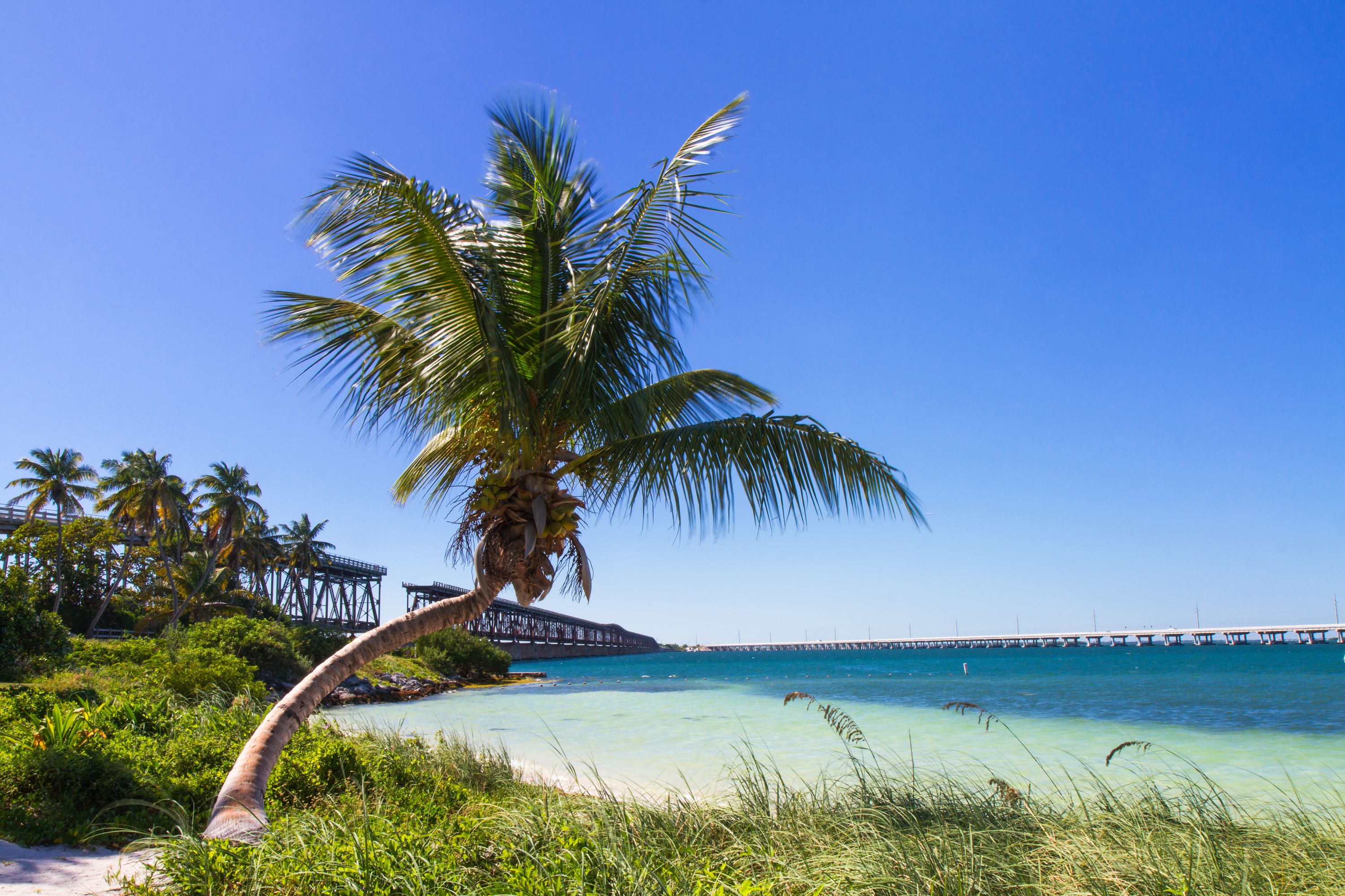 Landschaft am Bahia Honda Beach, Florida Keys, Florida