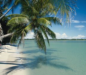 Blick auf den Strand von Key Largo