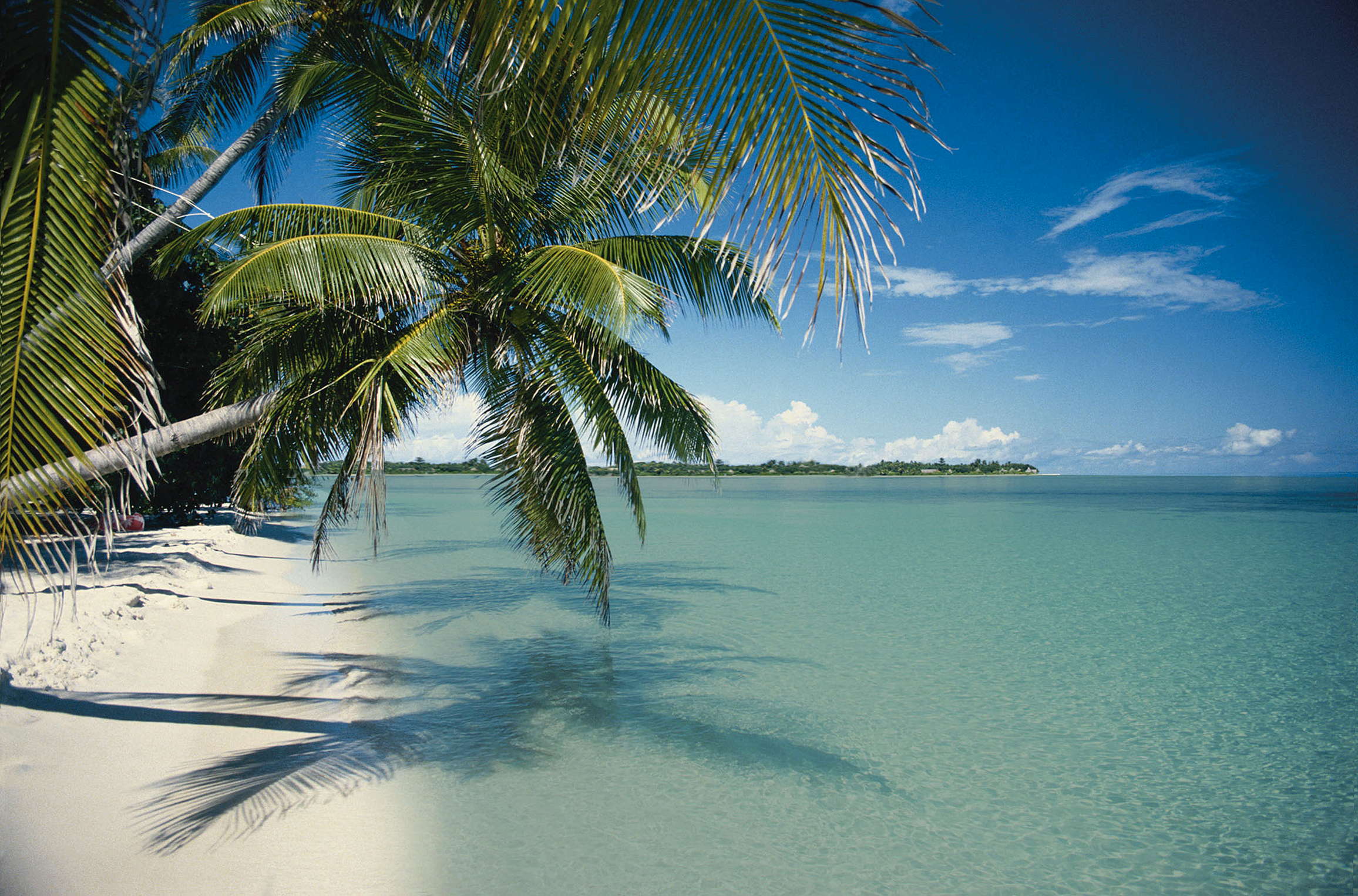 Blick auf den Strand von Key Largo
