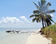 regionen/usa/florida/keys/allgemein/bahia-honda-state-park-strand.cr2048x1363-0x0 regionen/usa/florida/keys/allgemein/bahia-honda-state-park-strand.cr2048x1363-0x0