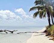 regionen/usa/florida/keys/allgemein/bahia-honda-state-park-strand.cr2048x897-0x319 regionen/usa/florida/keys/allgemein/bahia-honda-state-park-strand.cr2048x897-0x319