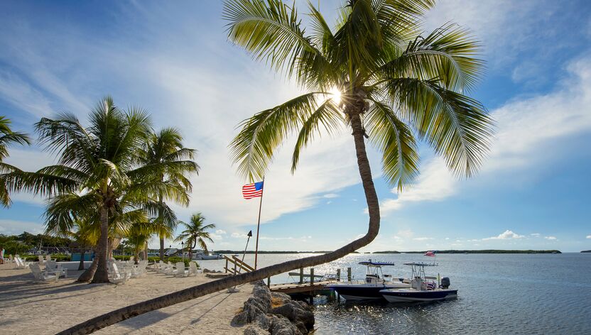 Palmen an einem Strand von Islamorada mit Blick auf den Yacht Hafen auf den Florida Keys, Florida Palmen an einem Strand von Islamorada mit Blick auf den Yacht Hafen auf den Florida Keys, Florida