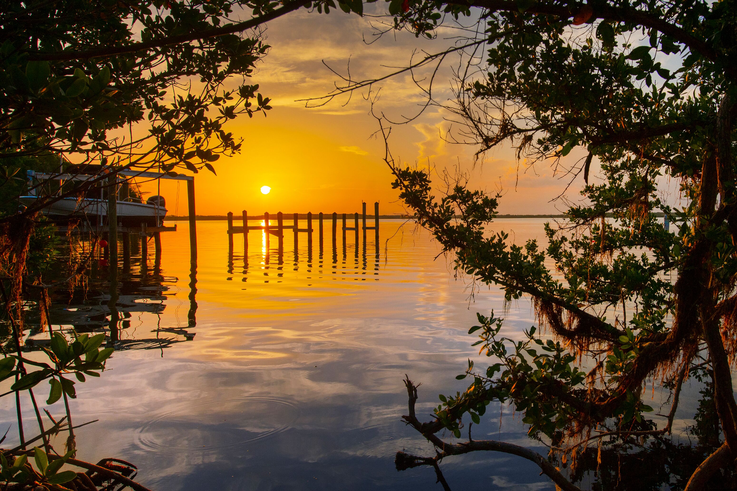 Sonnenaufgang inmitten der Mangrovenbäume