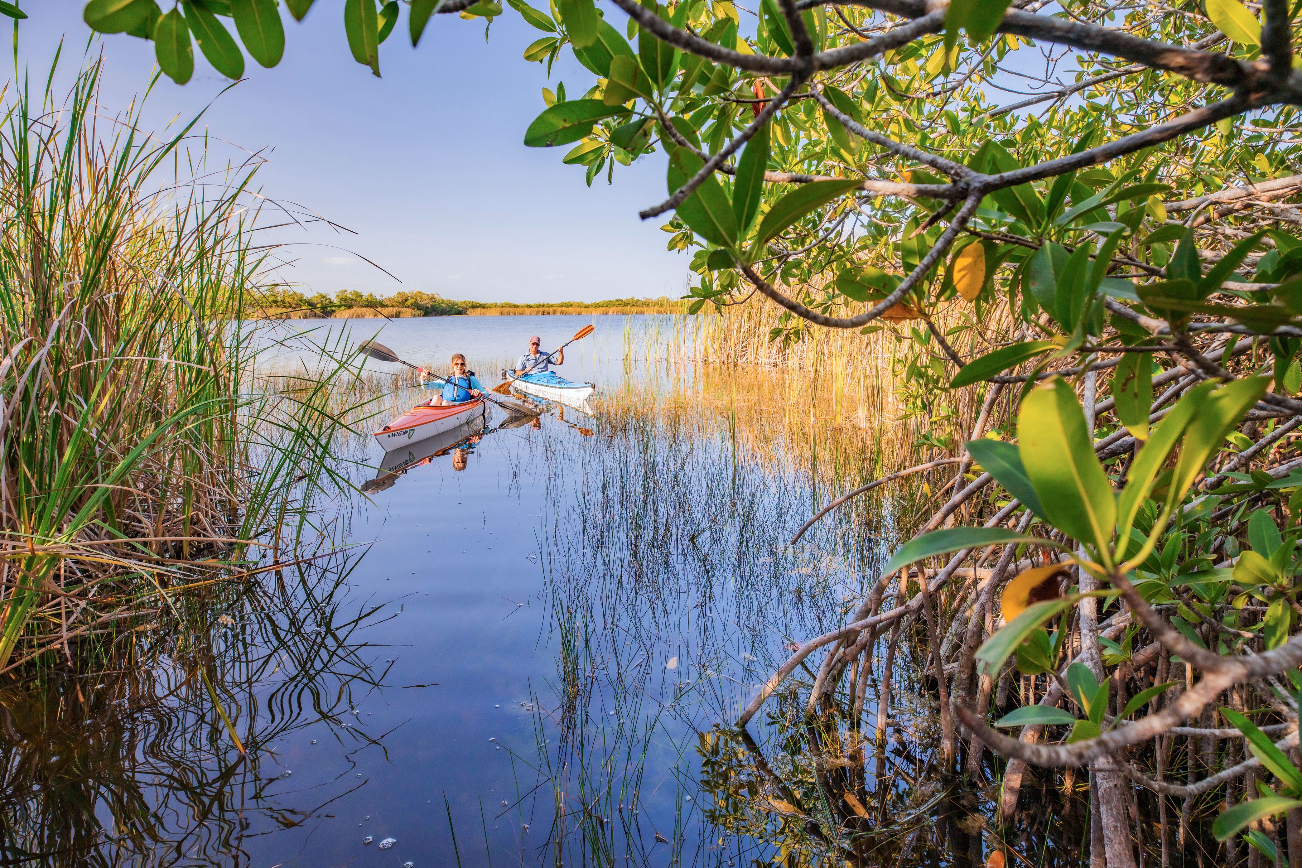 Kayak fahren in Key Largo Everglades