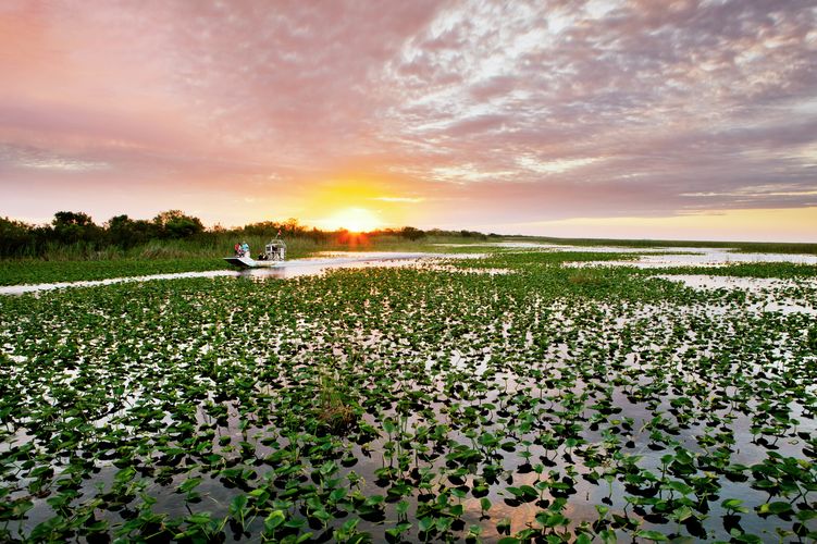 Unterwegs mit einem Luftboot durch die Everglades in Florida