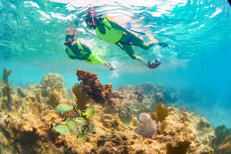 Bei einer Schnorcheltour das Korallenriff von Key West bestaunen