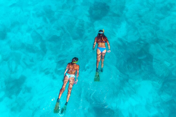 Mit Fury Key West eine unvergessliche Schnorcheltour erleben