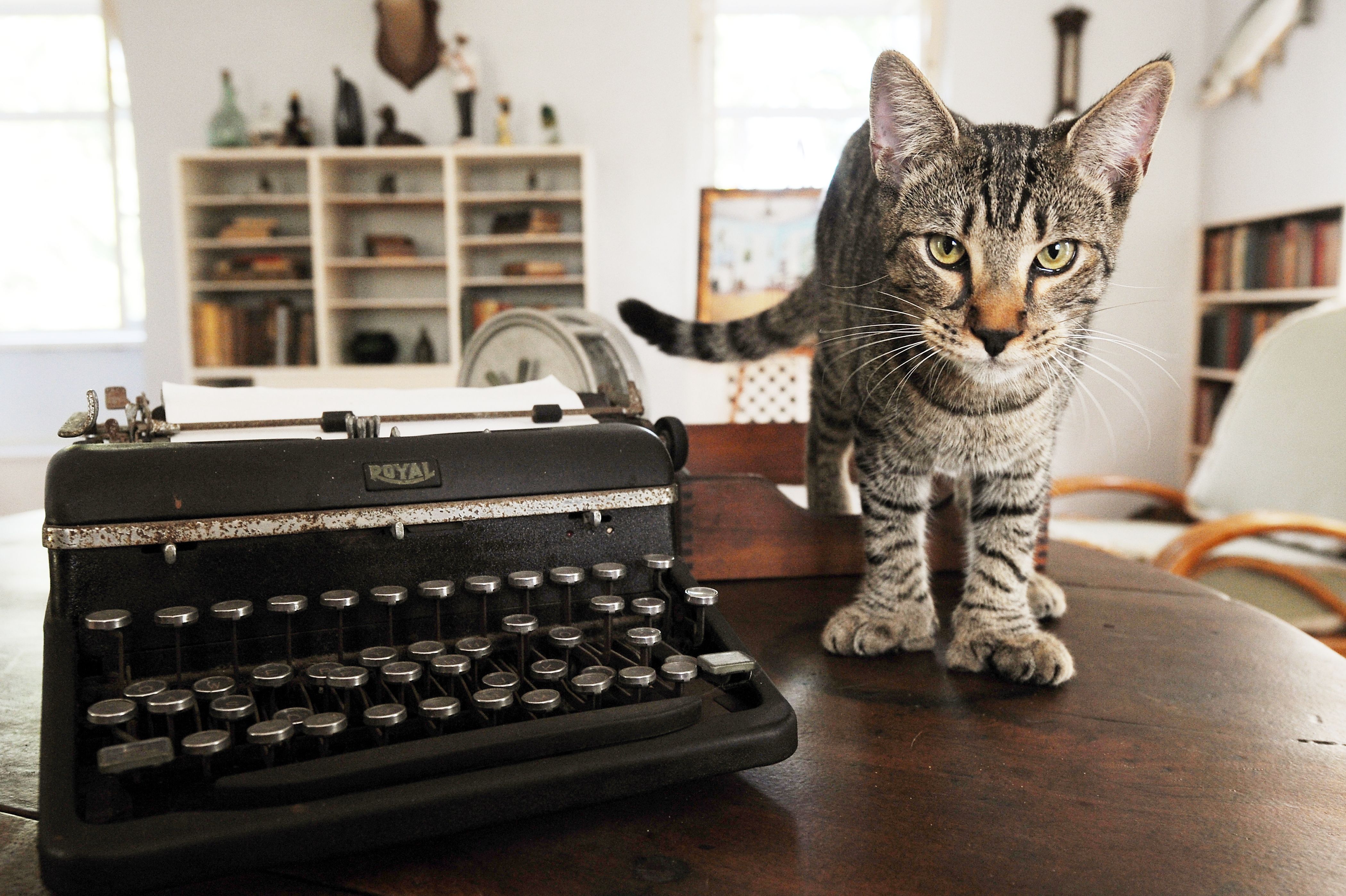 Ernest Hemingway Home & Museum