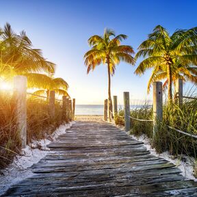 Der Weg zu einem Strand in Key West, Florida