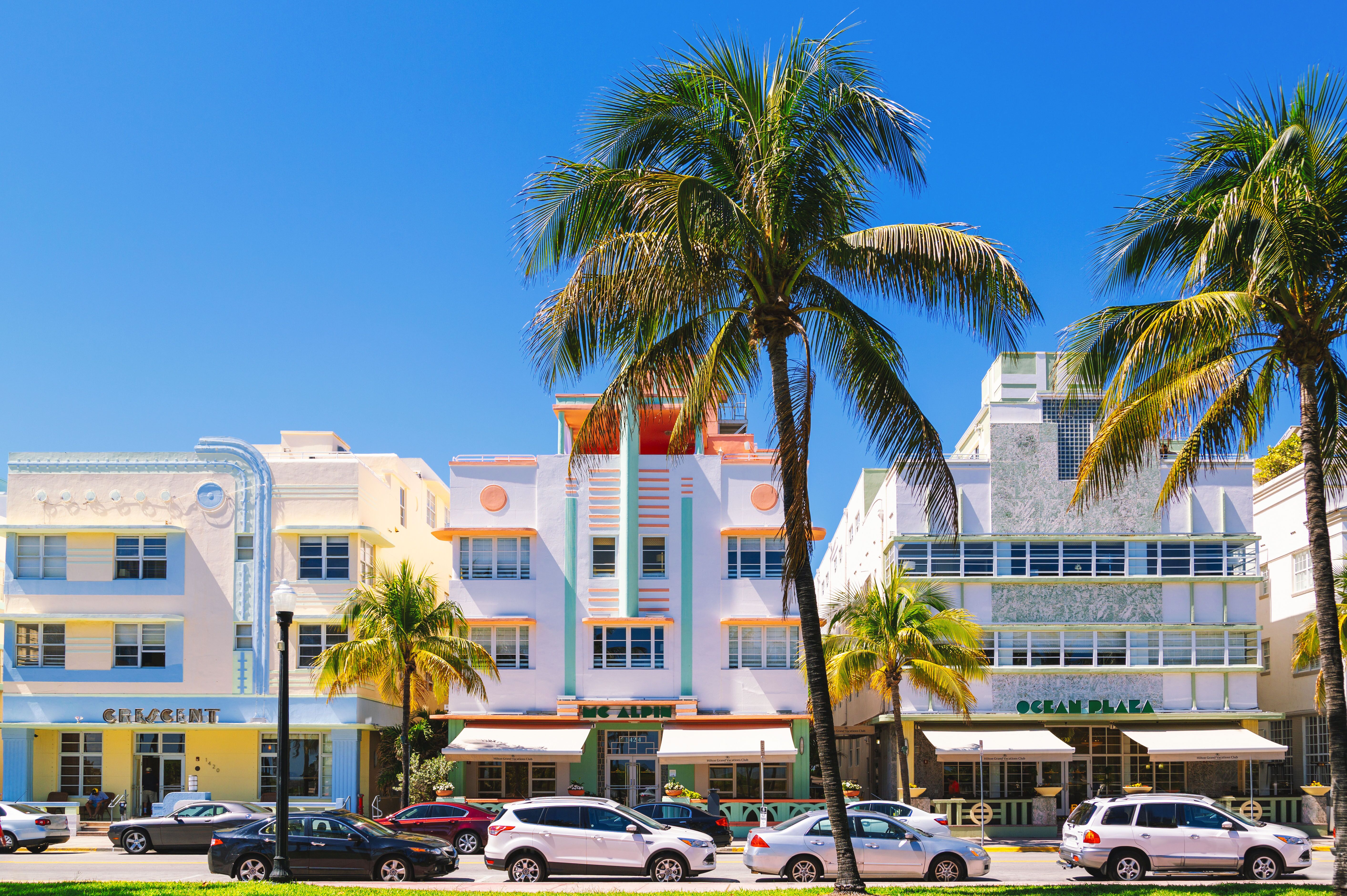 Bunte Häuserreihe in Miami Beach umgeben von Palmen