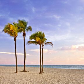 Den Blick auf den Miami Beach in Florida mit dem Atlantischen Ozean im Hintergrund genießen