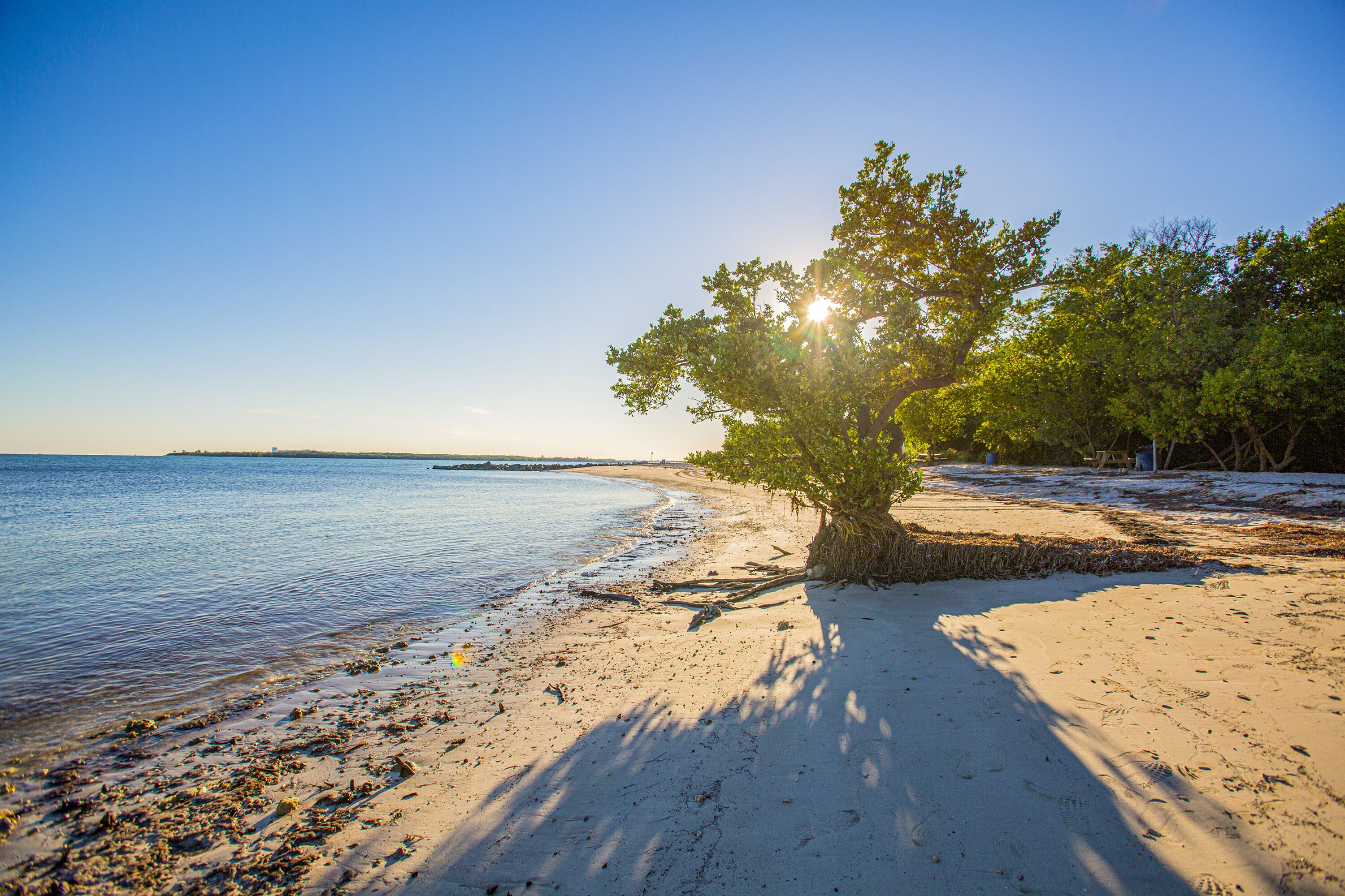 Der traumhafte Strand der Insel Virginia Key in Florida