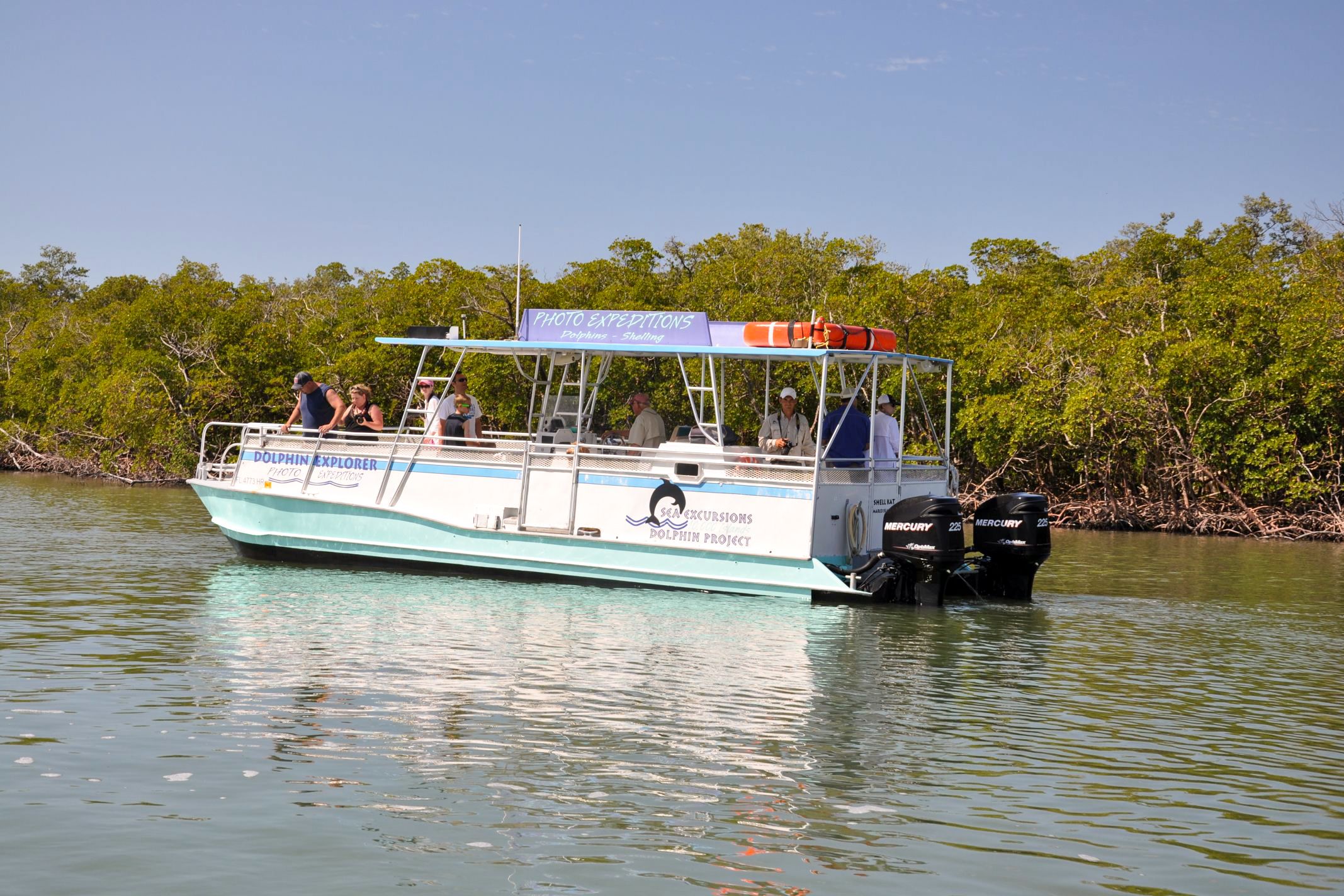 Das Verhalten von Delfinen erforschen beim "10,000 Islands Dolphin Project" auf Marco Island in Florida