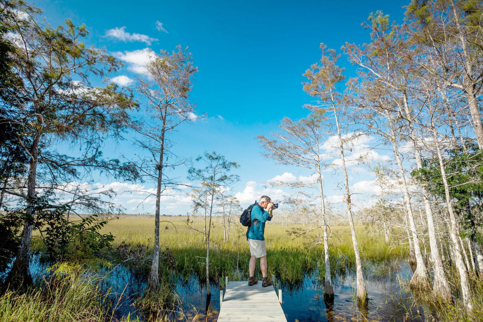 Der Big Cypress Sumpf in der Region der Golfküsten-Everglades ist ein beliebter Ort für viele Fotografen