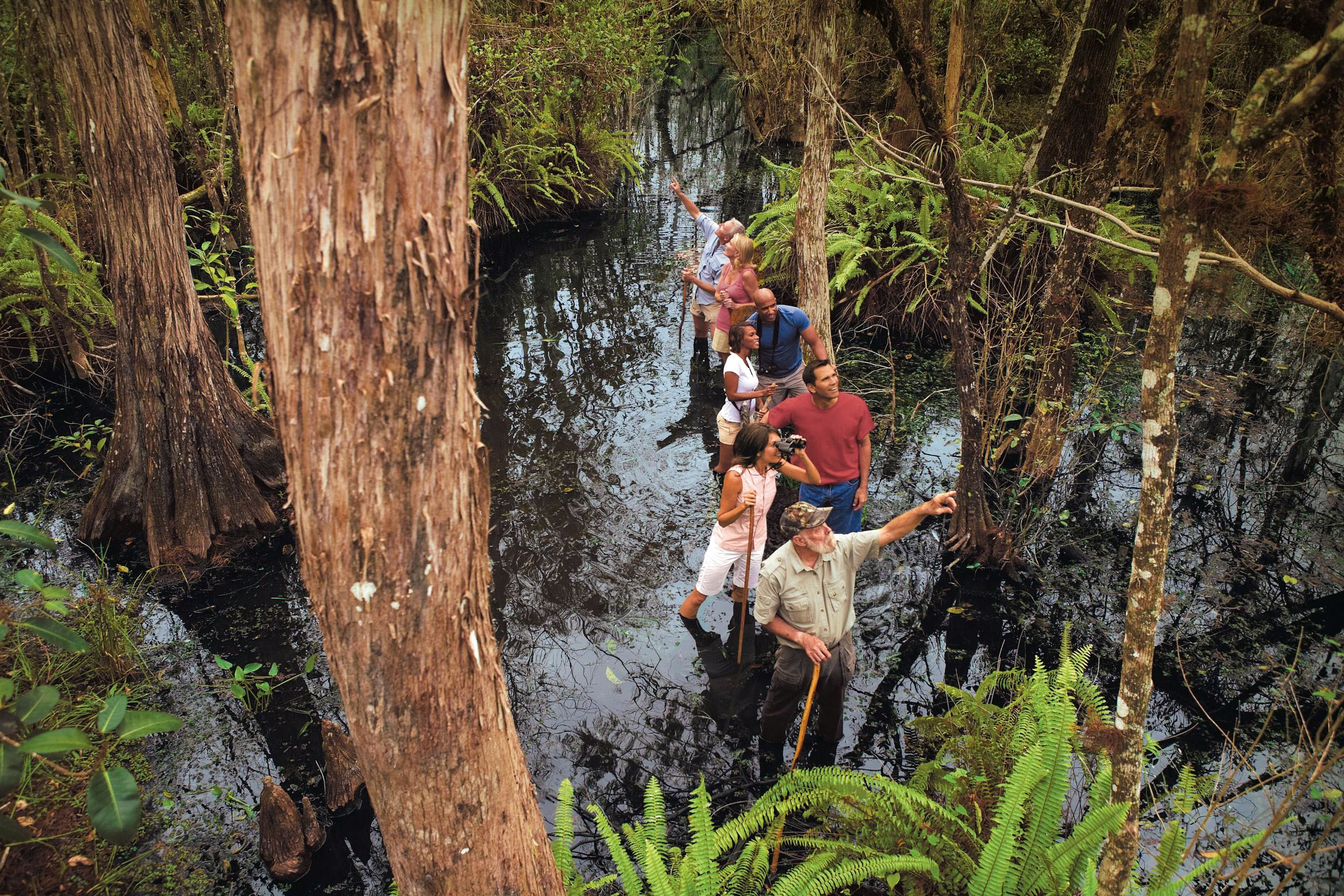 Tour durch die Sümpfe der Everglades in Florida