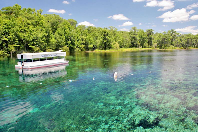 Ausflugsboot auf dem Wakulla River