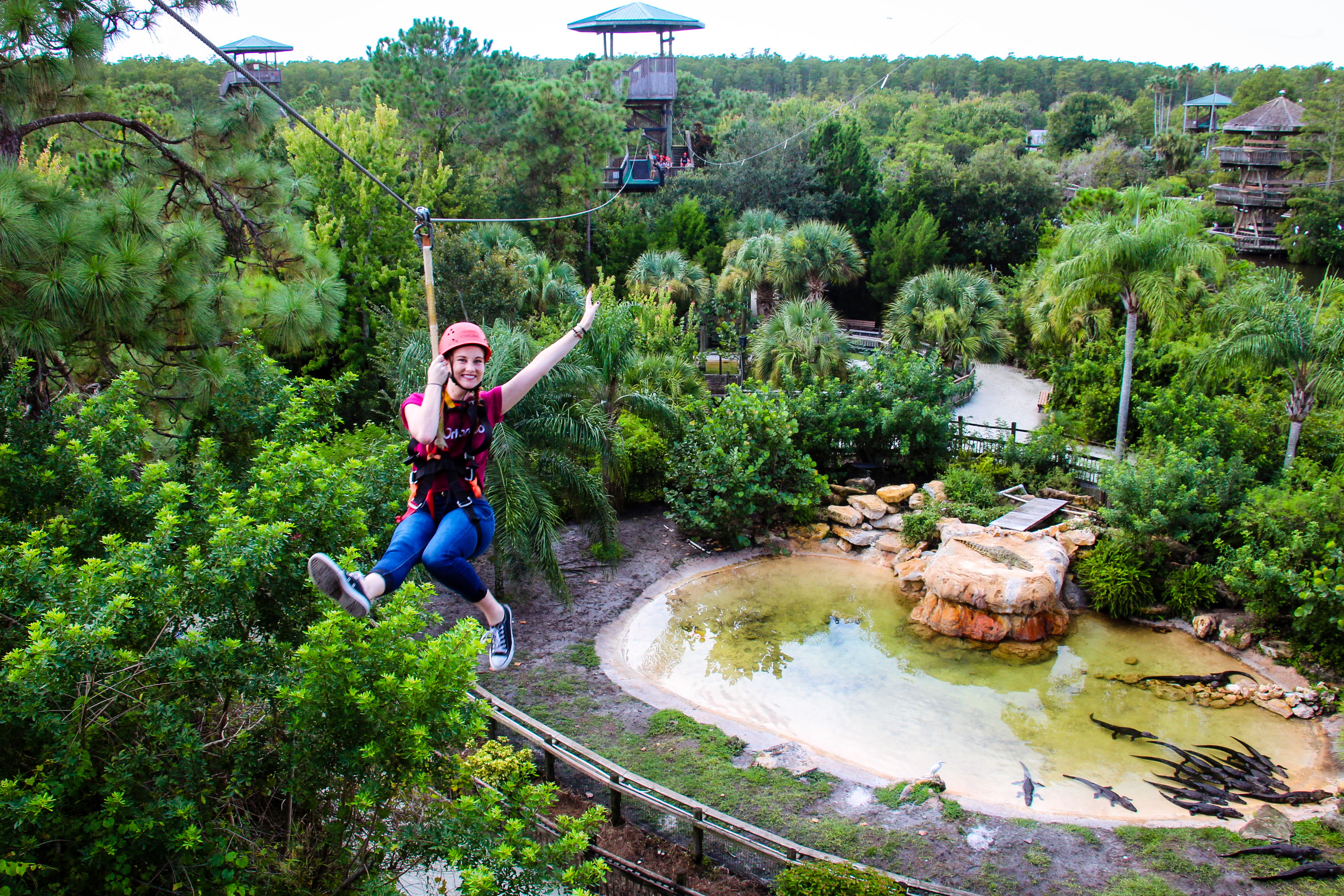 Zipline-Erlebnis im Gatorland