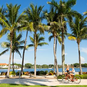 Zwei junge Frauen fahren auf dem Fahrrad an Palmen entlang, Florida