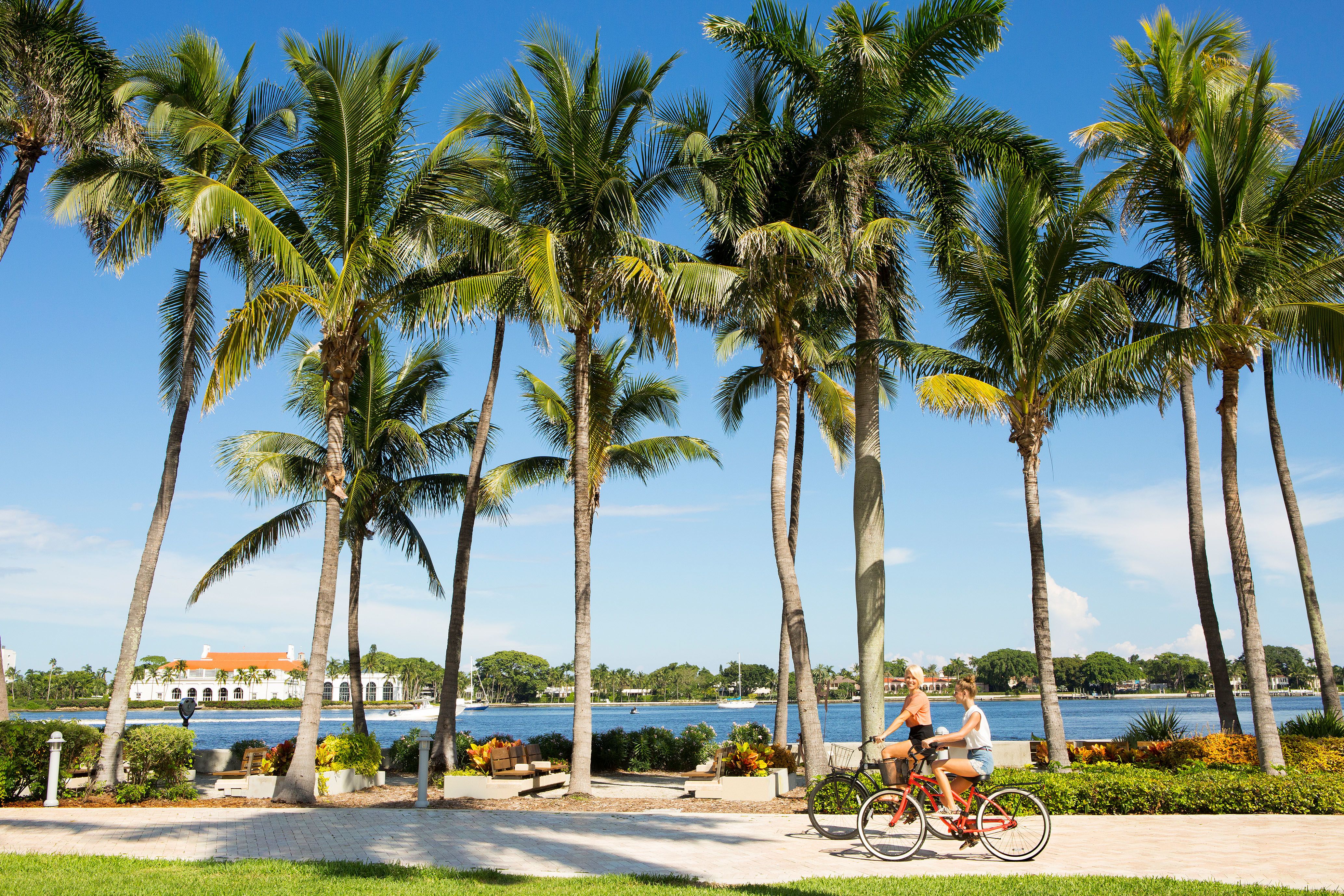 Zwei junge Frauen fahren auf dem Fahrrad an Palmen entlang, Florida