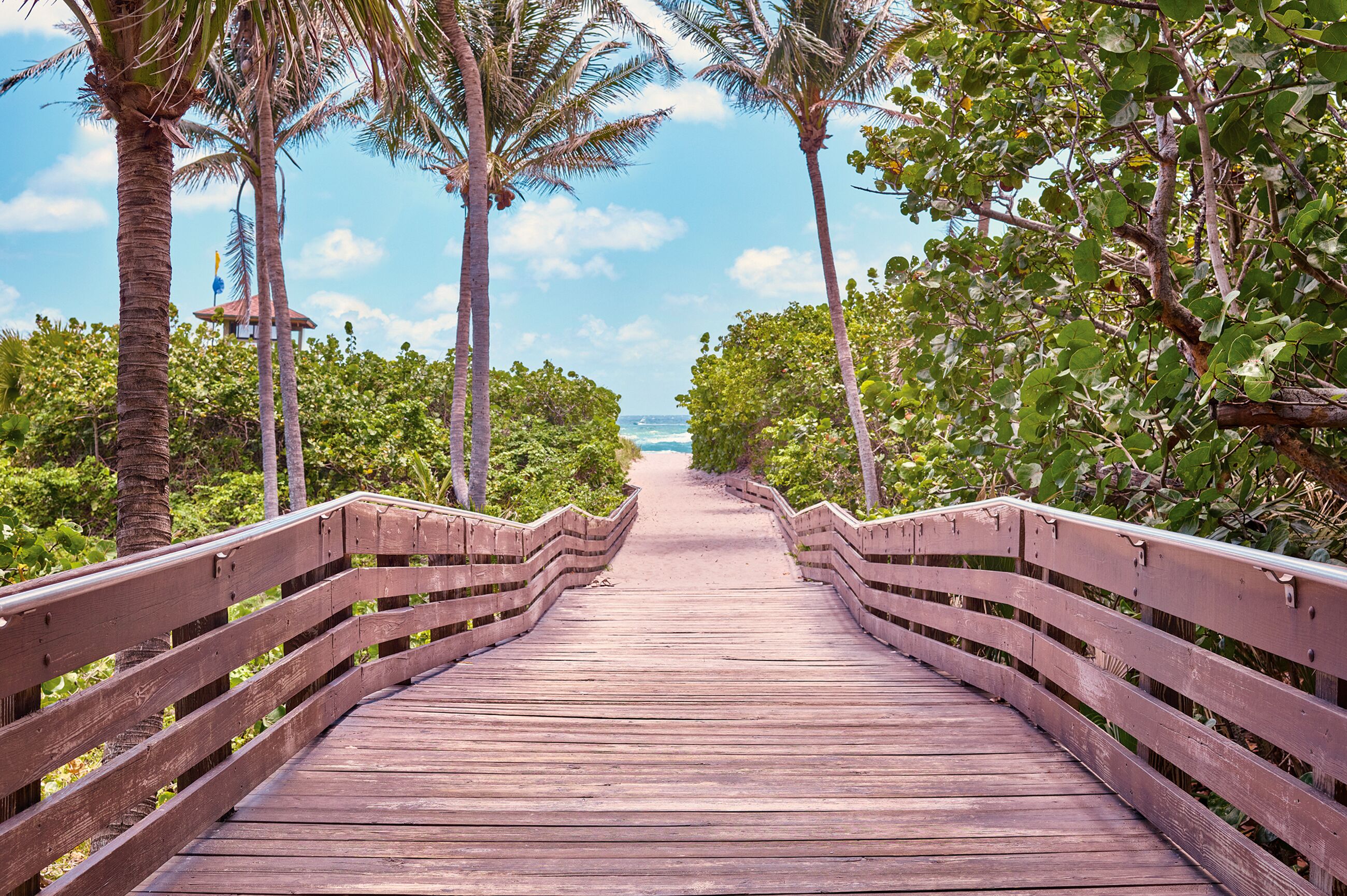 Spaziergang zum Strand von Palm Beach auf dem Ocean Reef Boardwalk