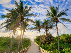 Sonnenaufgang am Ocean Reef Park