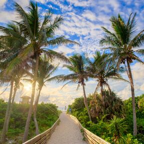 Sonnenaufgang am Ocean Reef Park