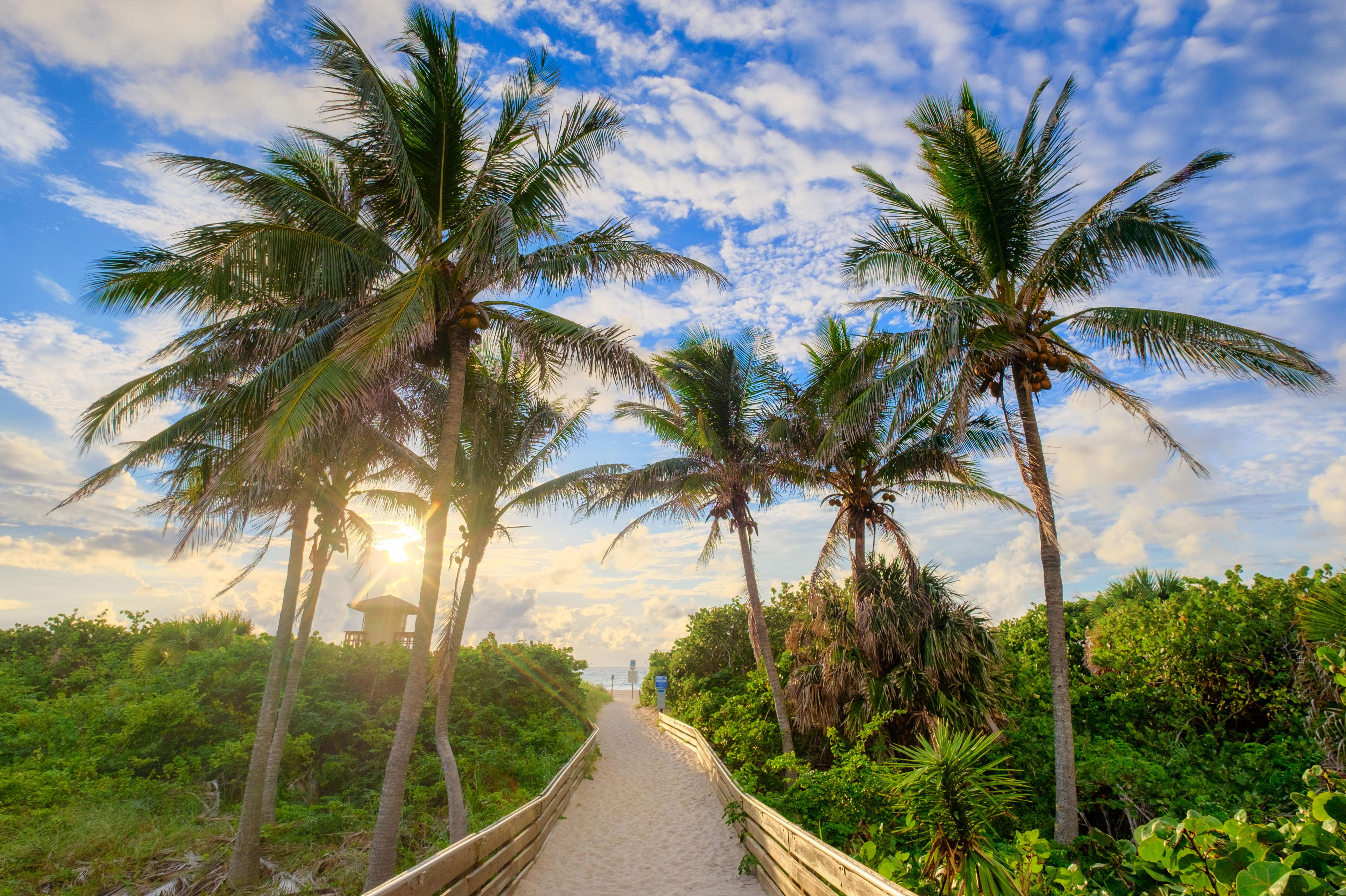 Sonnenaufgang am Ocean Reef Park