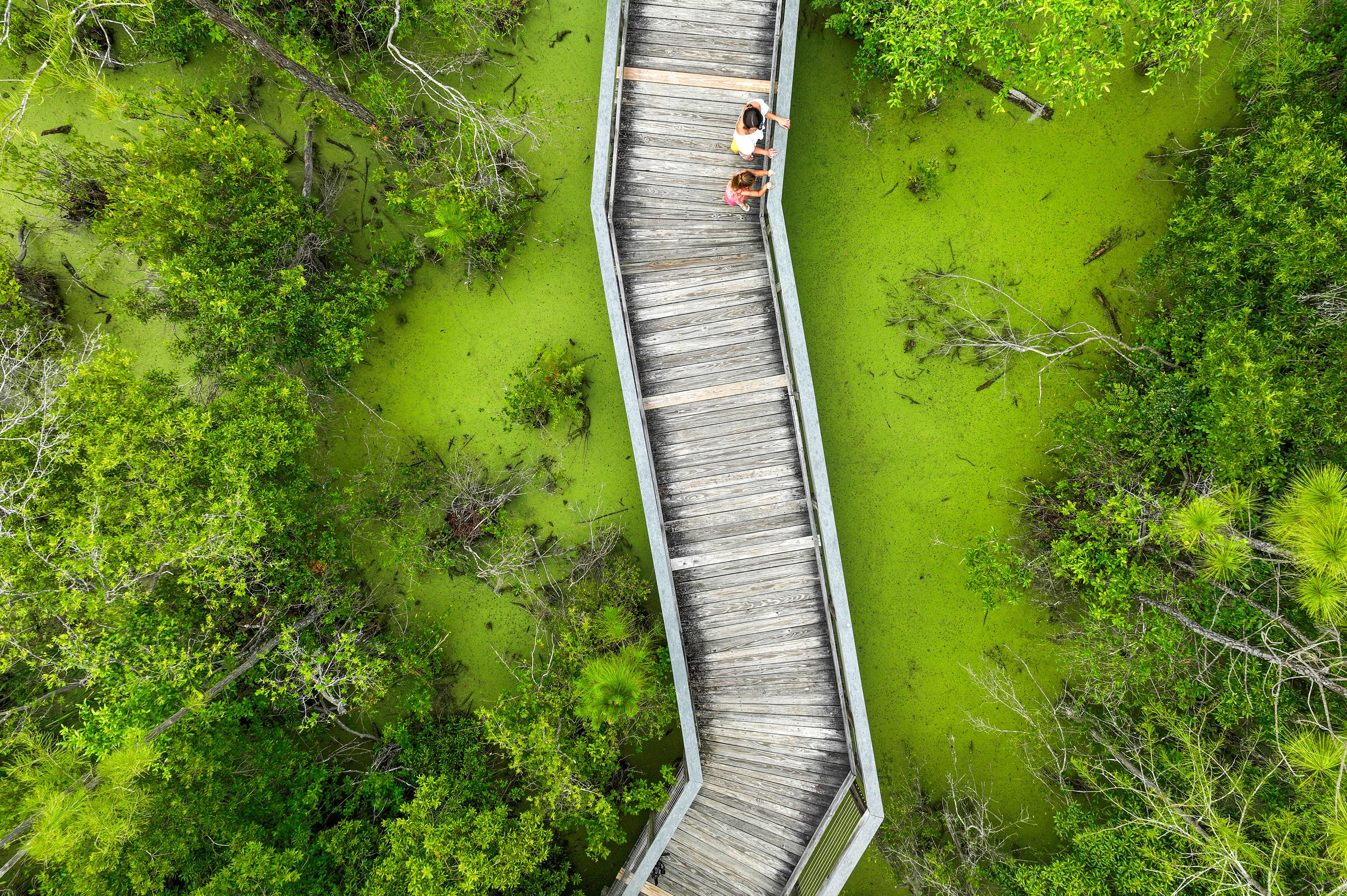 Blick auf die Sumpflandschaft im Conservation Park