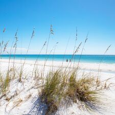 regionen/usa/florida/panama-city-beach/shell-island-duene-sand-strand.cr2210x2212-1080x50 regionen/usa/florida/panama-city-beach/shell-island-duene-sand-strand.cr2210x2212-1080x50