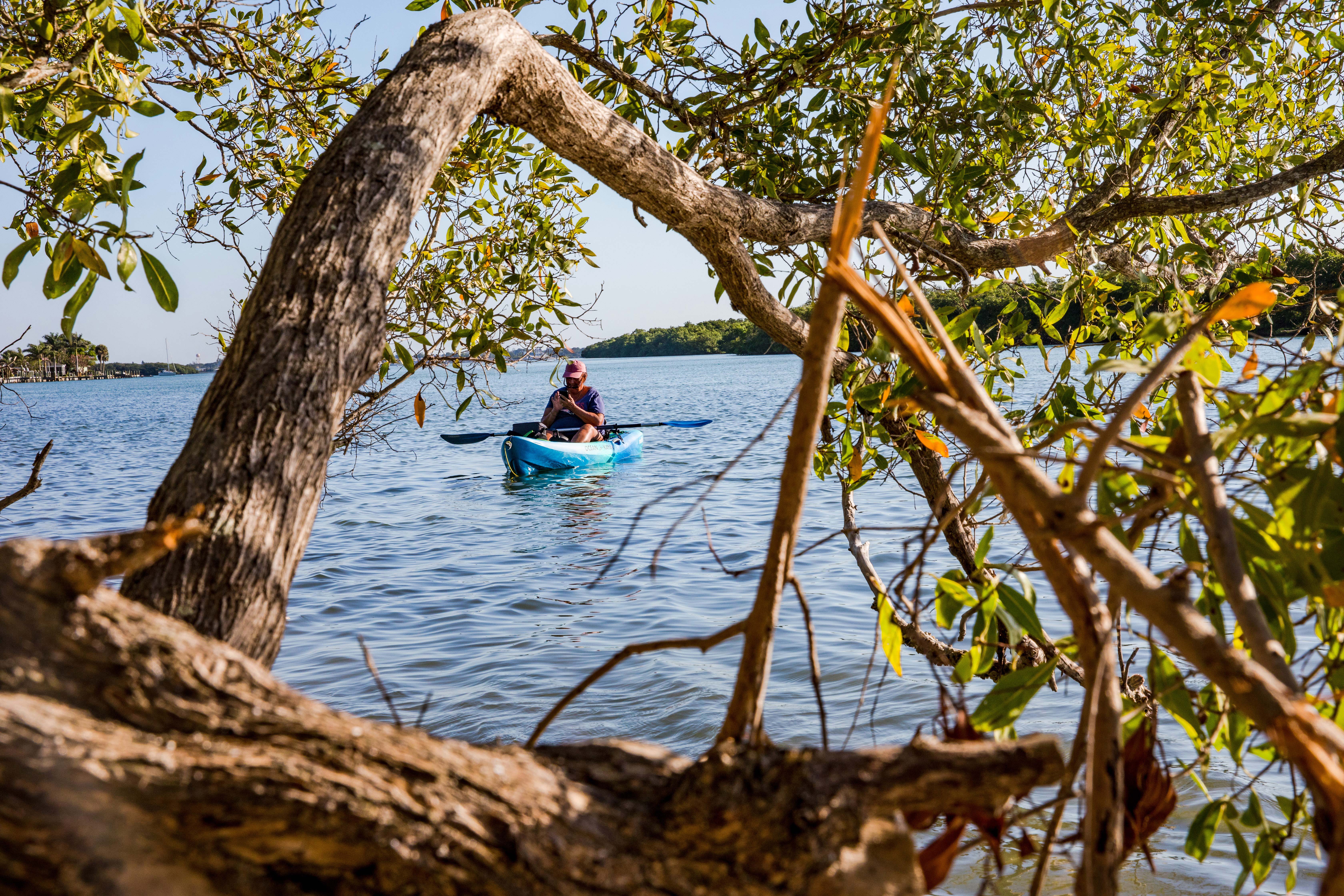 Kayaktour zwischen den Mangroven
