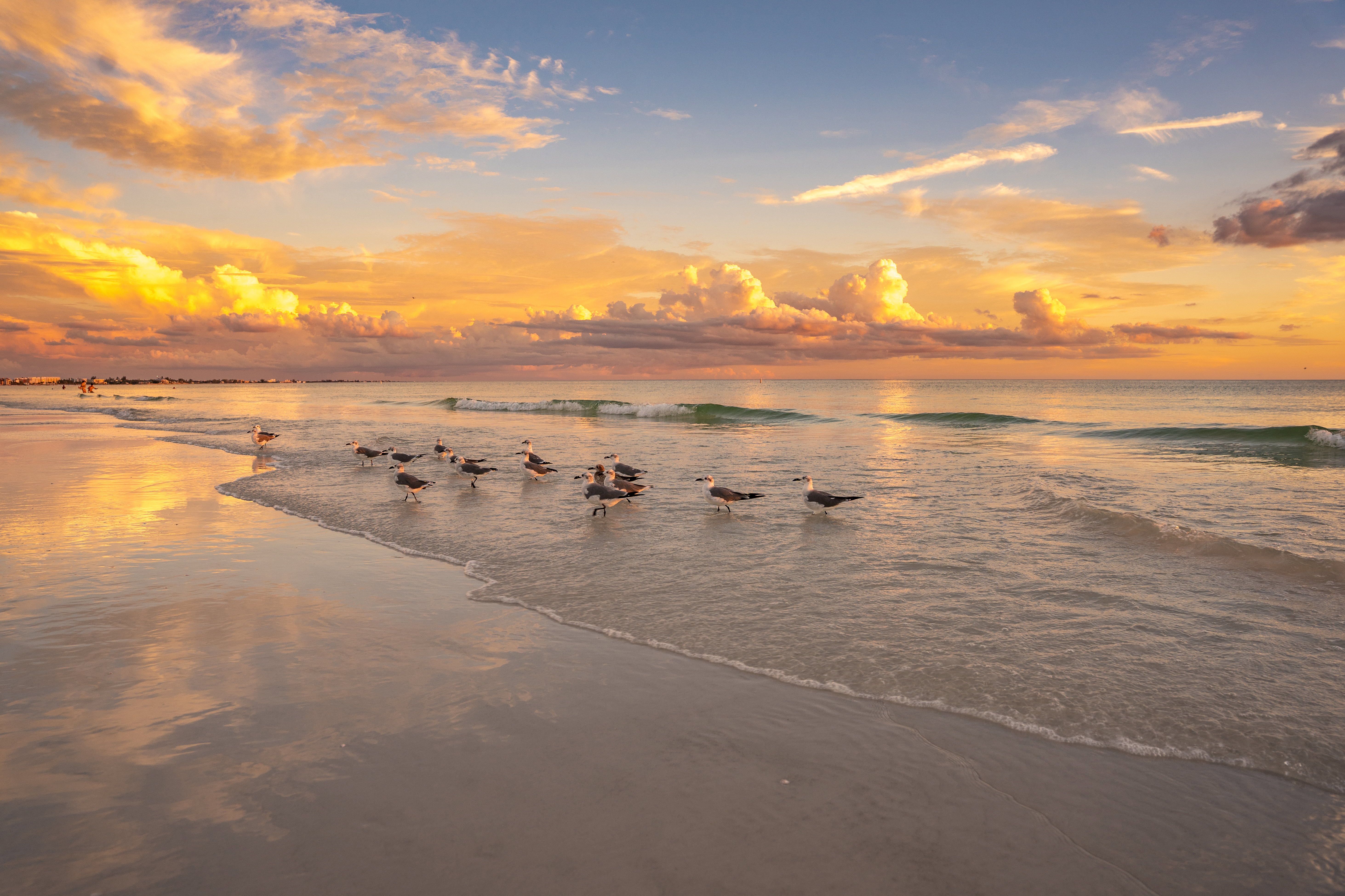 Golden Hour am Siesta Beach in Sarasota