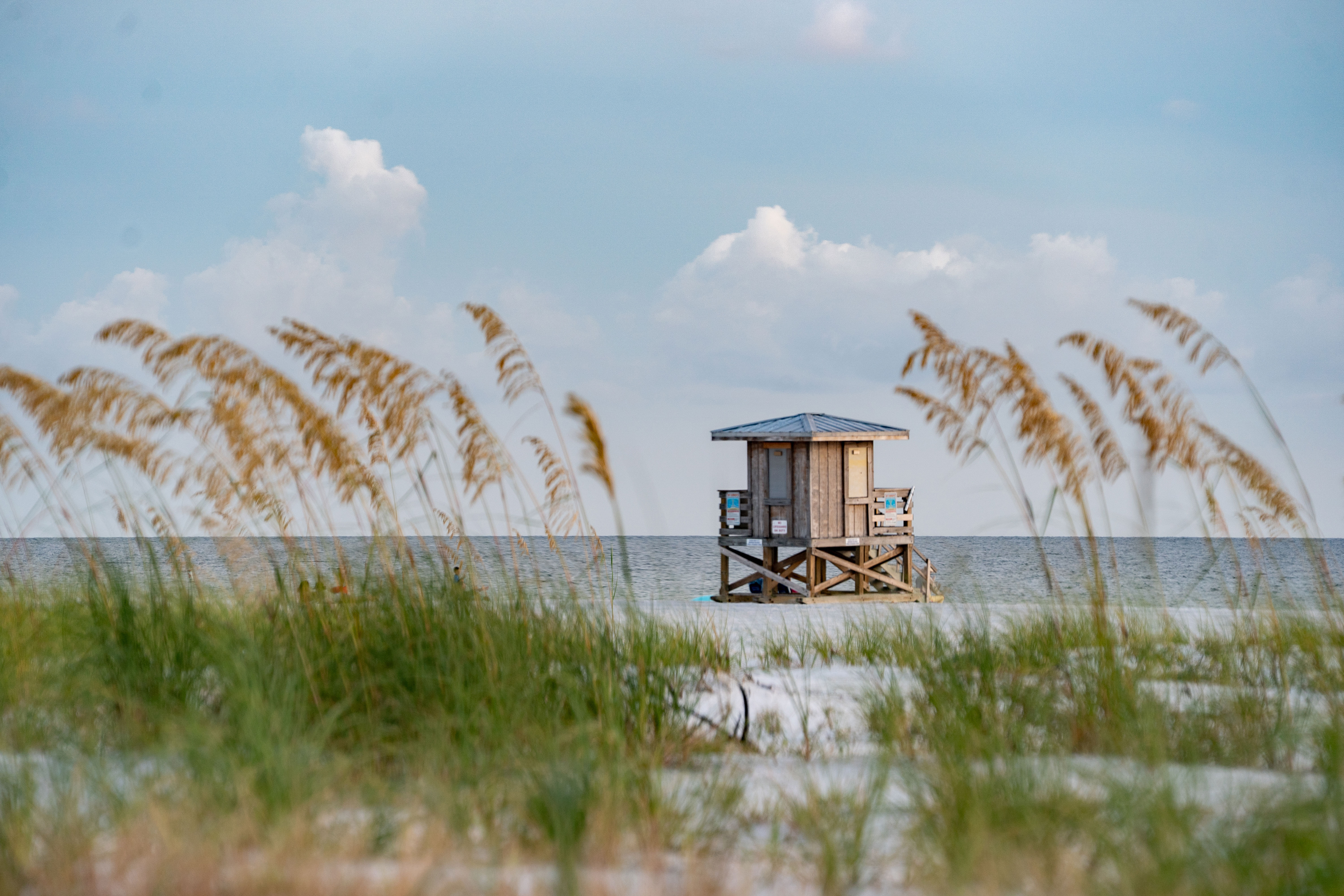 Ausblick auf einen Strand in Sarasota
