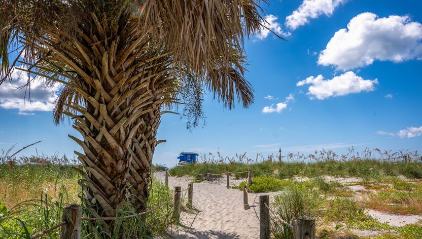 Strandaufgang in Sarasota Strandaufgang in Sarasota