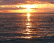 regionen/usa/florida/sarasota/sunset-with-dolphin-by-kerstin-wichmann.cr3072x2045-0x86 regionen/usa/florida/sarasota/sunset-with-dolphin-by-kerstin-wichmann.cr3072x2045-0x86