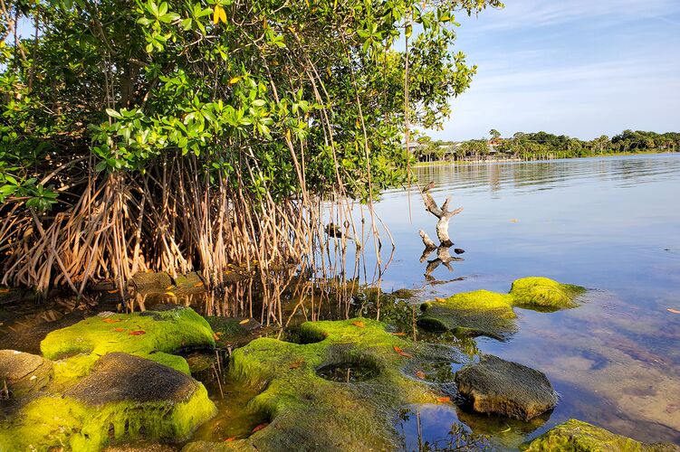 Romantischer Indian River Lagoon in Florida