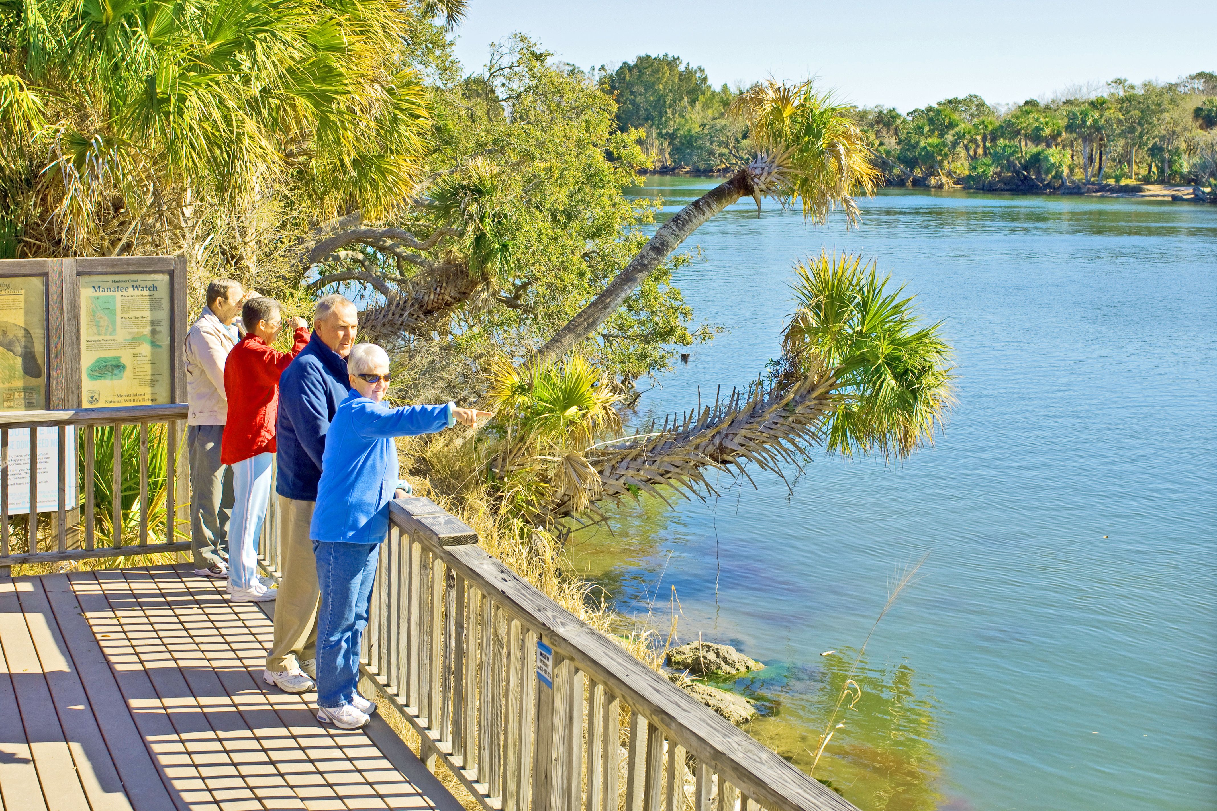 Am Manatee Point