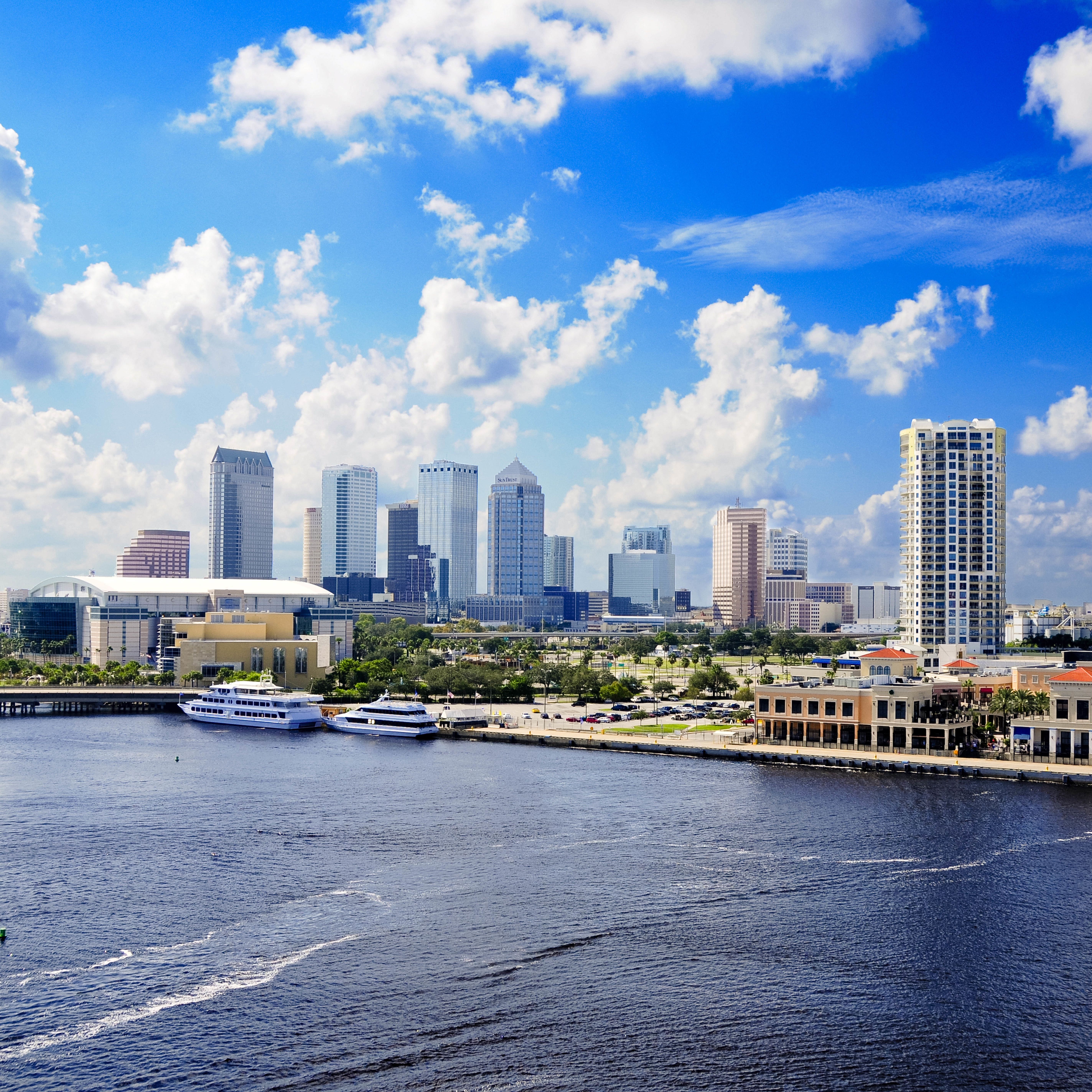 Skyline of Tampa and the Harbour